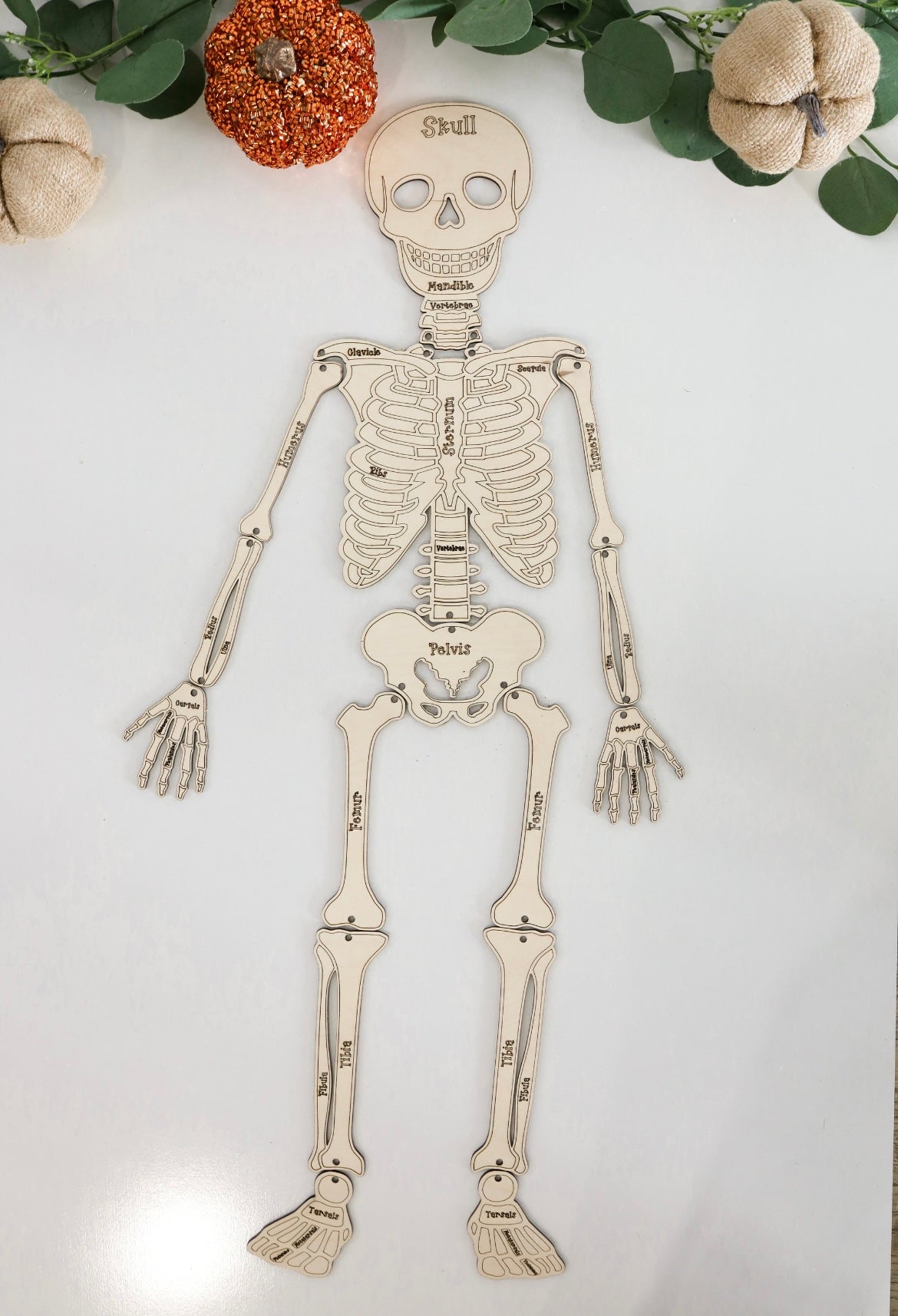 Build Your Own Skelton Kit