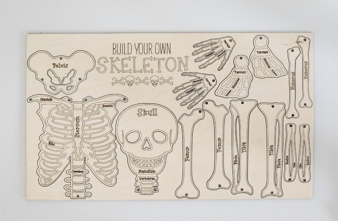 Build Your Own Skelton Kit