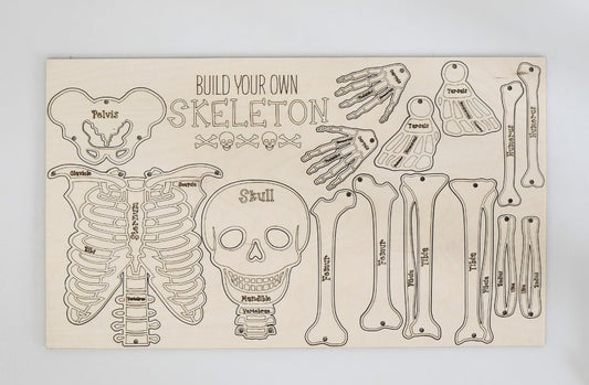 Build Your Own Skelton Kit
