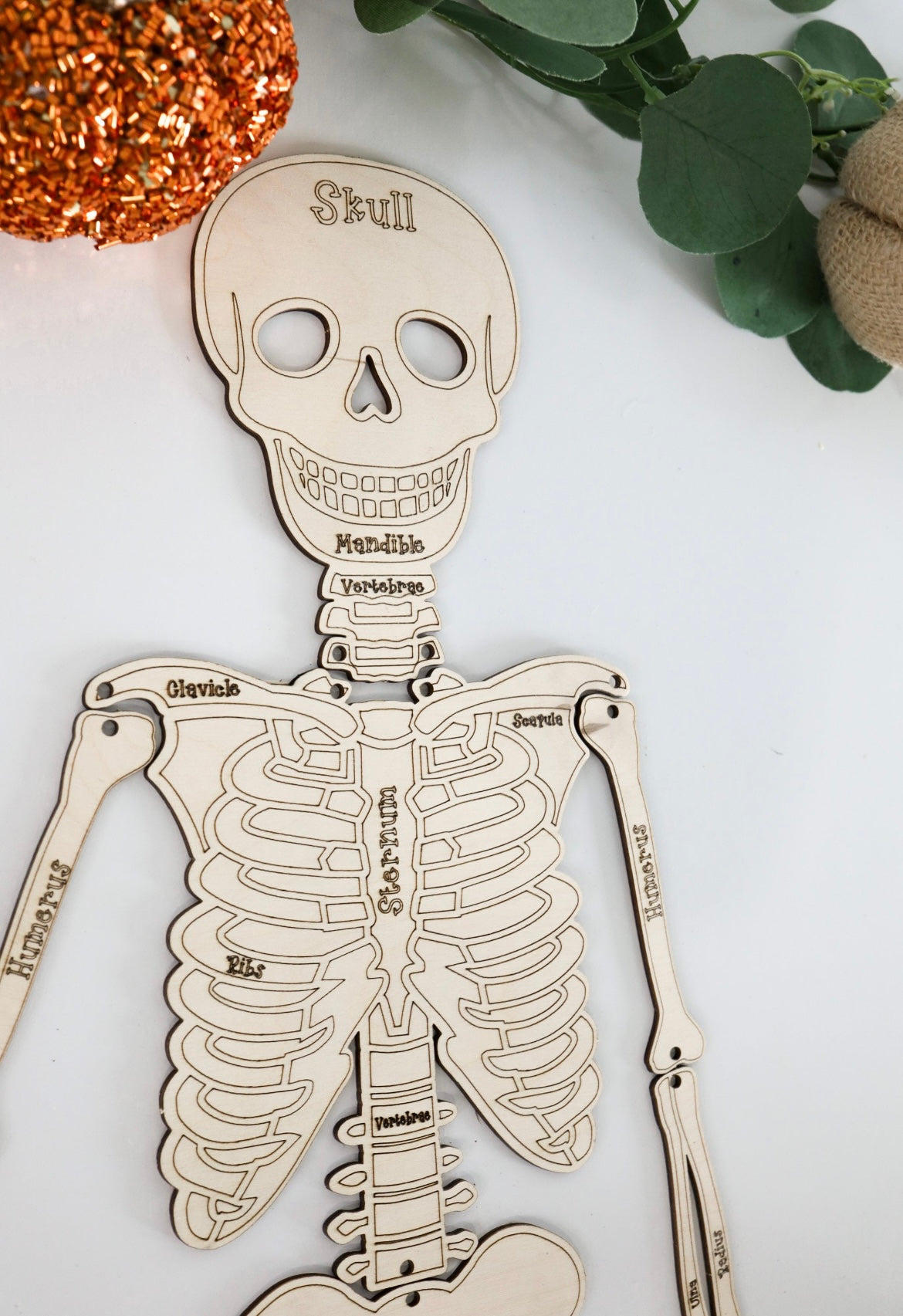 Build Your Own Skelton Kit